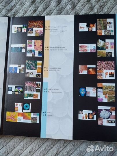 Большой атлас анатомии человека