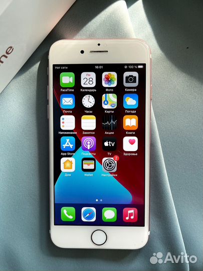 iPhone 7 rose gold