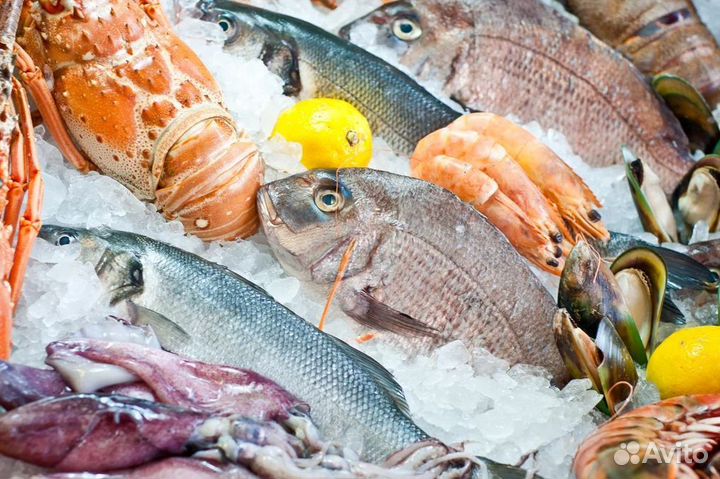 Продажа магазина рыбы и морепродуктов в центре