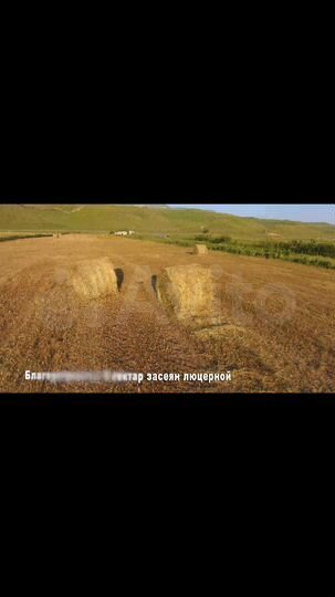 Участок 2,1 га (ИЖС)