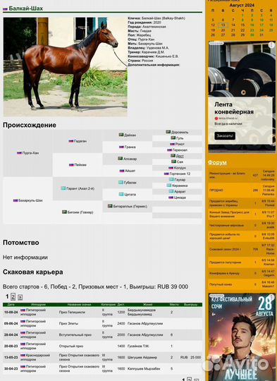 Продам лошадь