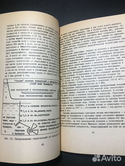 Лекции по гилобиологии, Жужиков, 1980 МГУ