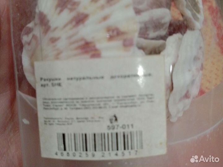 Ракушки для декора