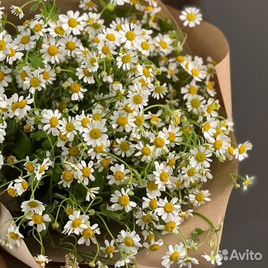 Букет из ромашек в крафте