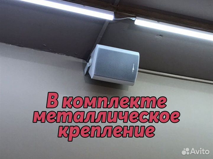 Настенные колонки cvgaudio NF5TW