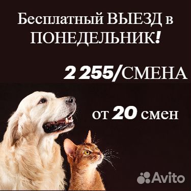 Выезд в Понедельник/Упаковщики кормов/Вахта в Ефре