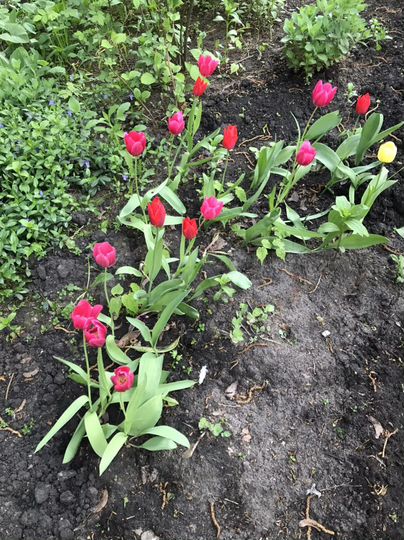 Дача 20 м² на участке 6 сот.