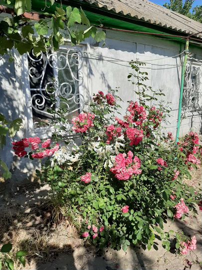 Дом 44 м² на участке 26,6 сот.