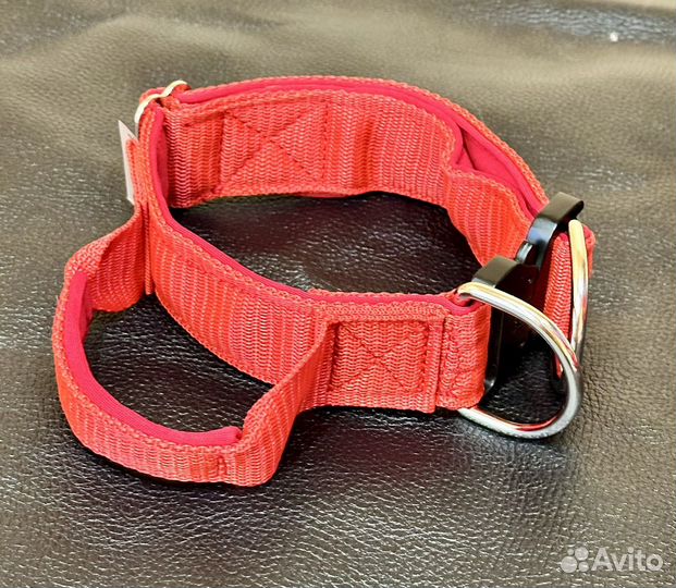 Ошейник для собак