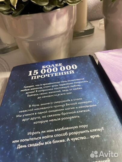 Наследница черного дракона, Тайна черного дракона