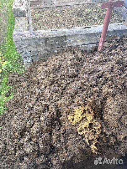 Коровий навоз, перегной