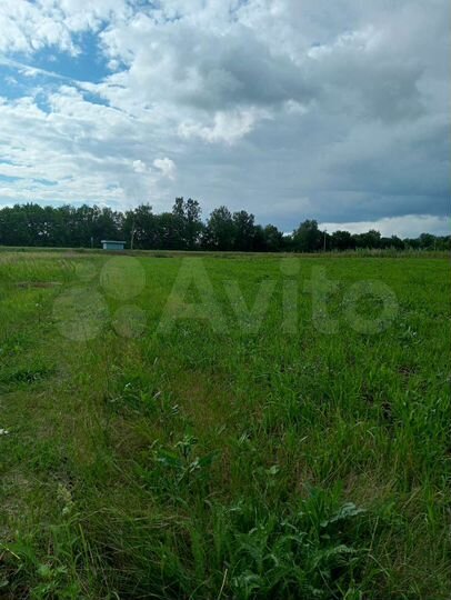 Участок 50 сот. (ИЖС)