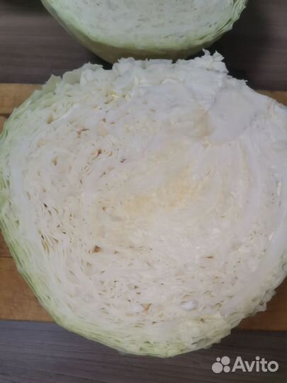 Капуста белокочанная