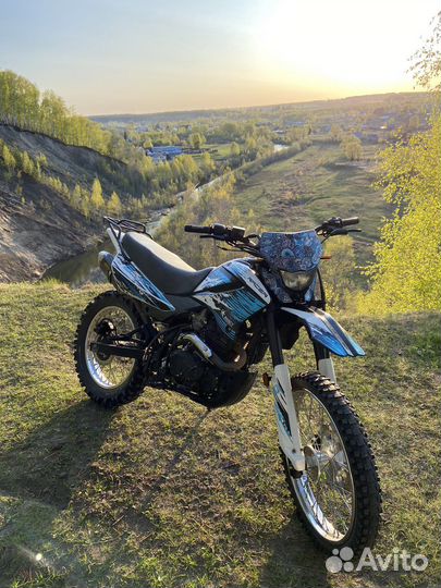 Racer Panther 300