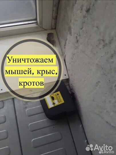 Уничтожение насекомых