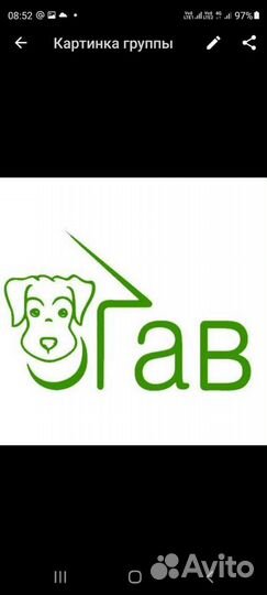 Сотрудник в приют