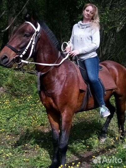 Конные прогулки