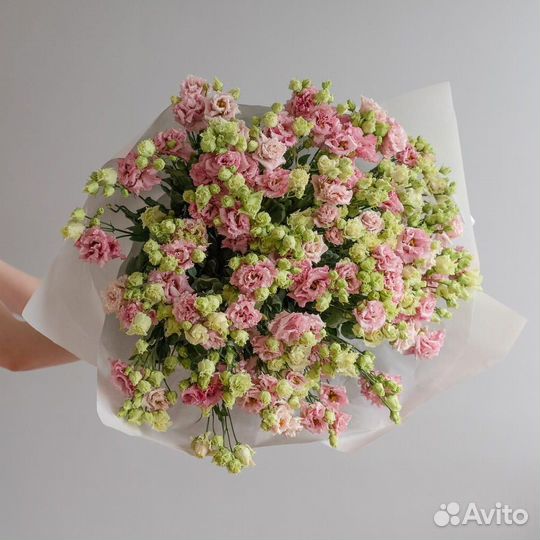 Лизиантус Эустома