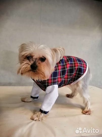 Швея на дому