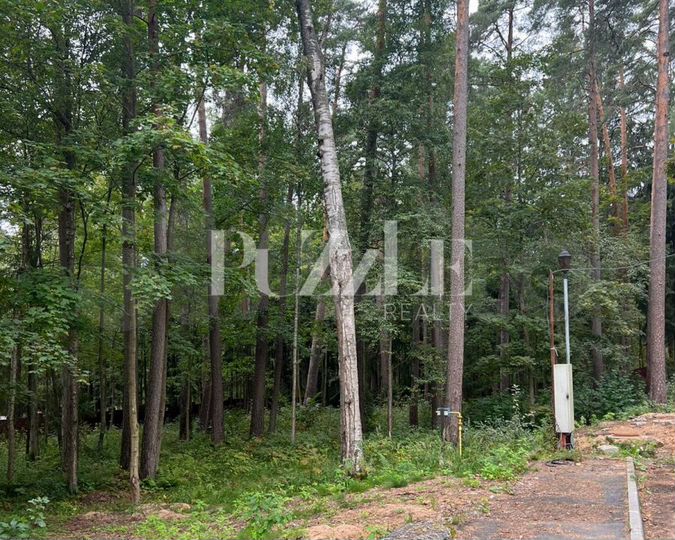 Участок 18 сот. (СНТ, ДНП)