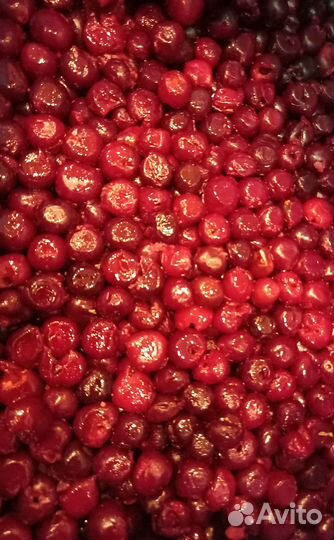 Вишня черника клюква бруснка облепиха смородина