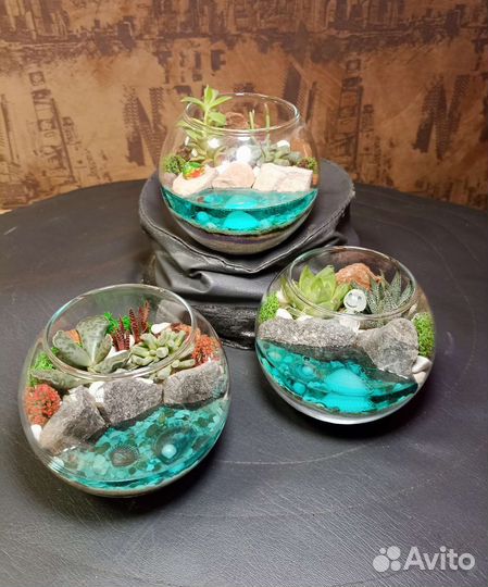 Флорариум шар
