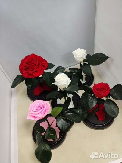 Роза в колбе оптом