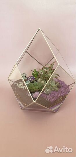 Флорариум. Подарок на день рождения, педагогу