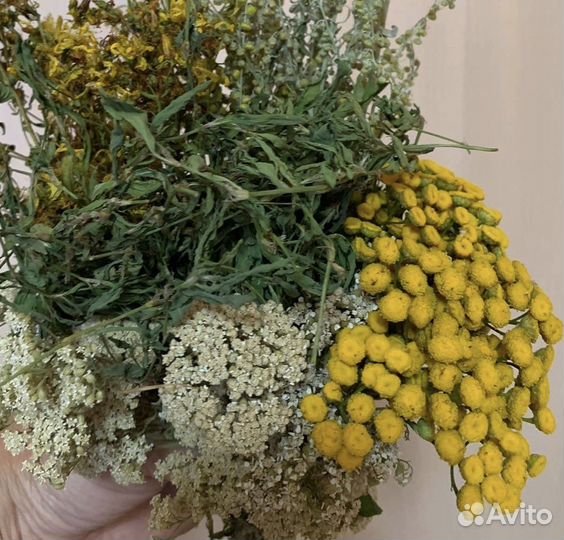 Антипаразитарный сбор трав