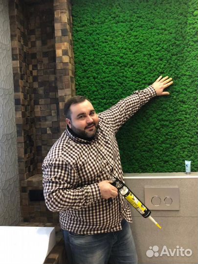 Стабилизированный мох, ягель, кочка, пласт, панно