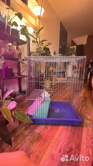 Клетка для грызунов