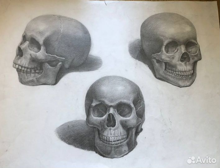 Репетитор по живописи рисунку