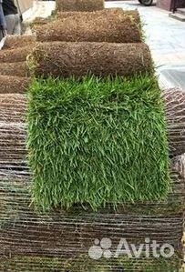 Гидропосев