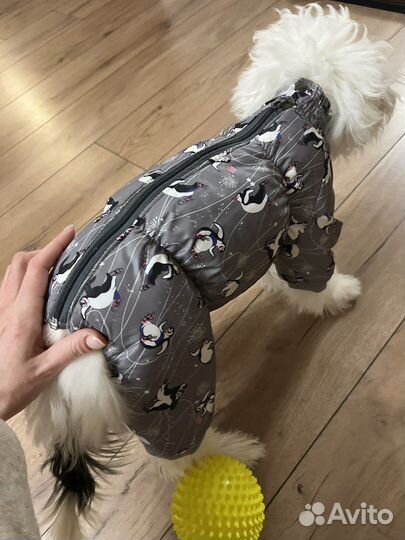 Комбинезон для собаки