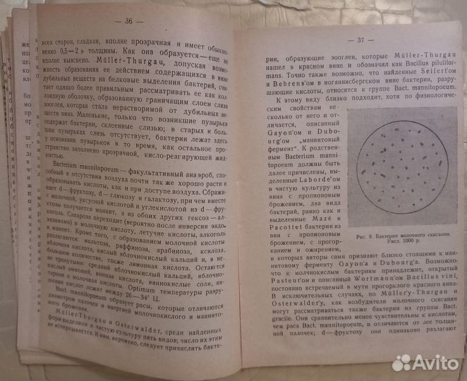 Агапов В. Болезни и пороки вина. 1930 г