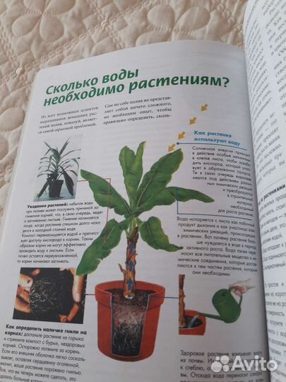 Книги по уходу за растениями