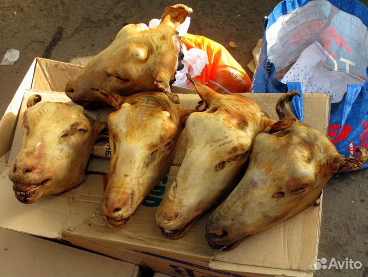 Головы ножки барании