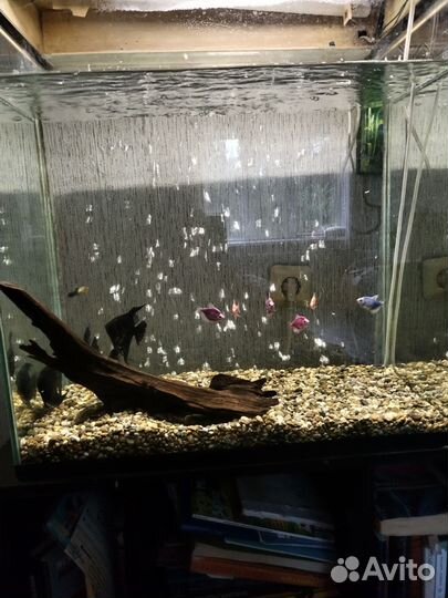 Аквариум с тумбой