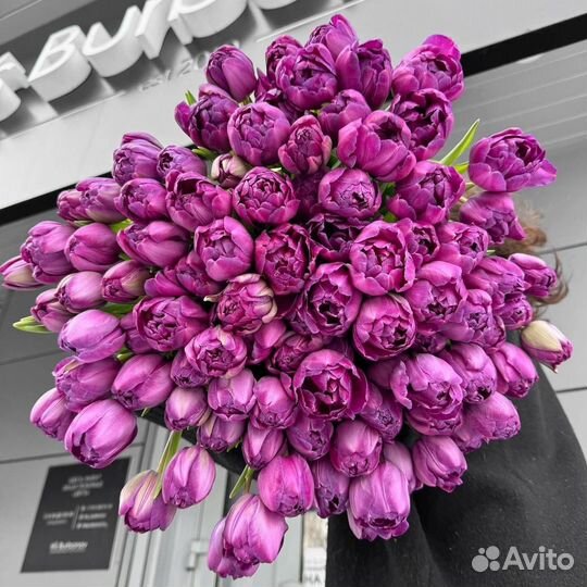 Тюльпаны Моя Весна