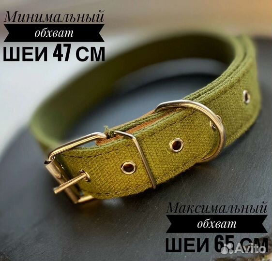 Брезентовый ошейник для собак