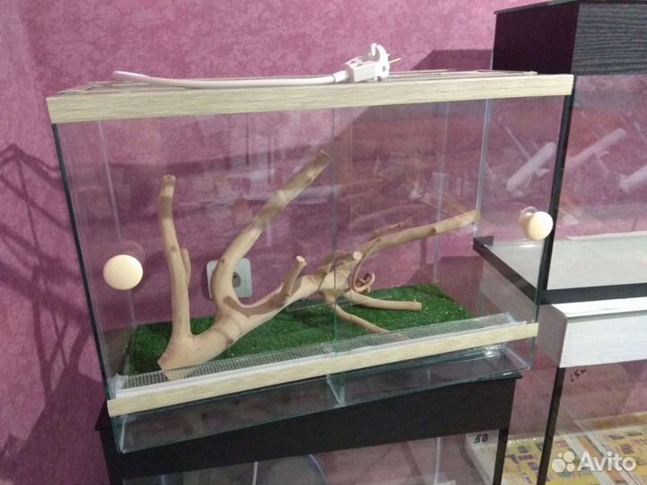 Террариумы