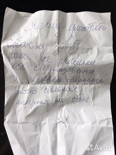 В дом без аллергии