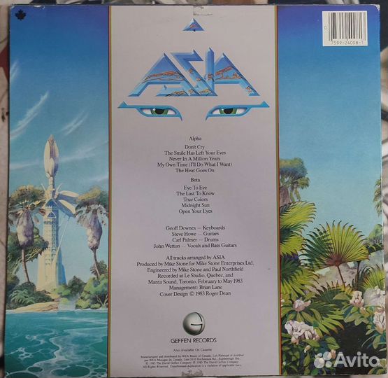 Виниловые пластинки