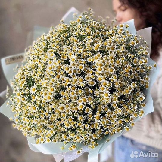 Букеты ромашек