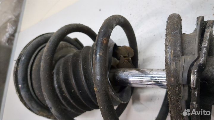 Амортизатор подвески BMW 5 E60, 2004