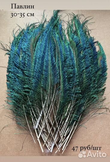 Перья павлина для творчества (разные)