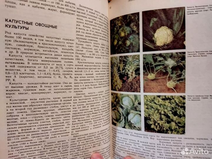 Энциклопедический словарь юного земледельца