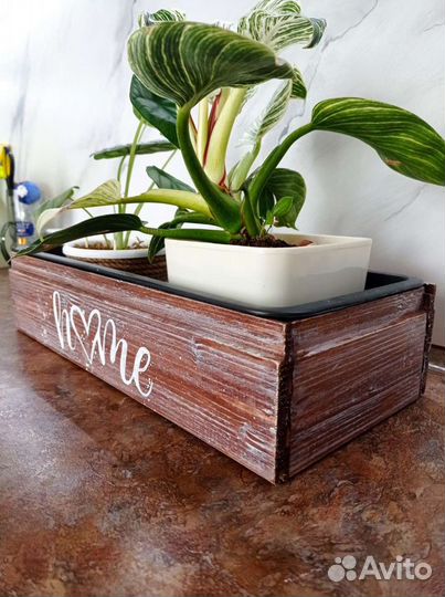 Кашпо для цветов