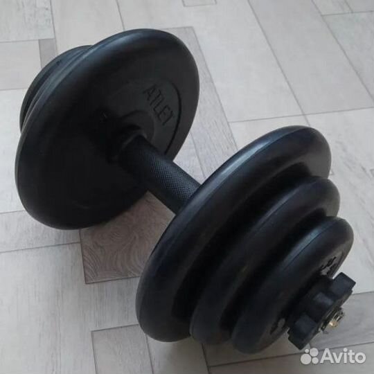 Гантель 19 кг разборная