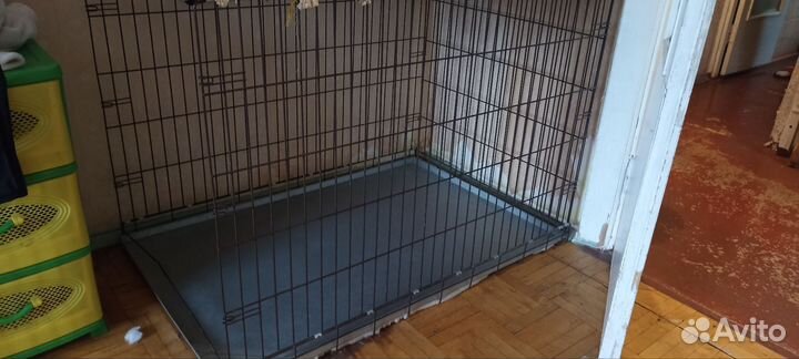 Клетка без дверцы